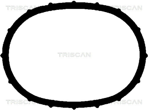 TRISCAN Dichtung, Zylinderkopfhaube