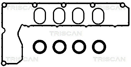 TRISCAN Dichtungssatz, Zylinderkopfhaube