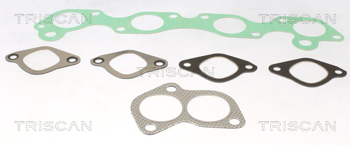 TRISCAN Dichtungssatz, Ansaug-/Abgaskrümmer