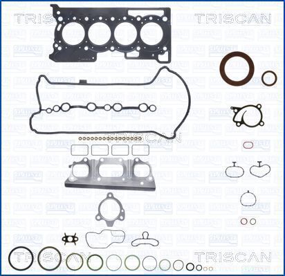 TRISCAN Dichtungsvollsatz, Motor