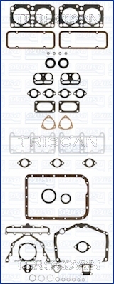 TRISCAN Dichtungsvollsatz, Motor