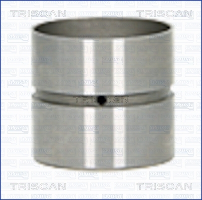 TRISCAN Ventilstößel