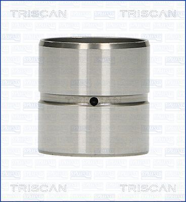 TRISCAN Ventilstößel