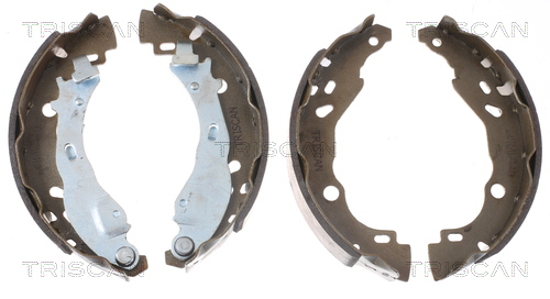 TRISCAN Bremsbackensatz