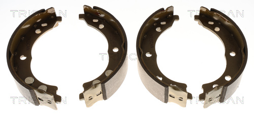 TRISCAN Bremsbackensatz, Feststellbremse