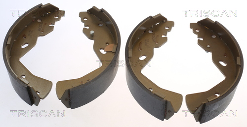 TRISCAN Bremsbackensatz