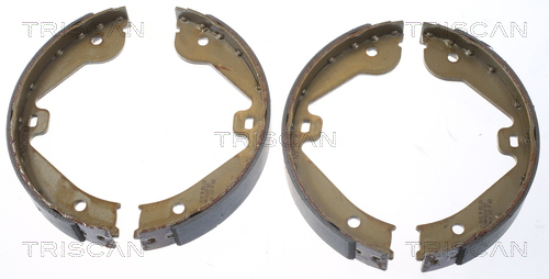 TRISCAN Bremsbackensatz