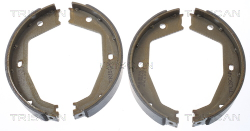 TRISCAN Bremsbackensatz, Feststellbremse