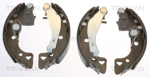 TRISCAN Bremsbackensatz