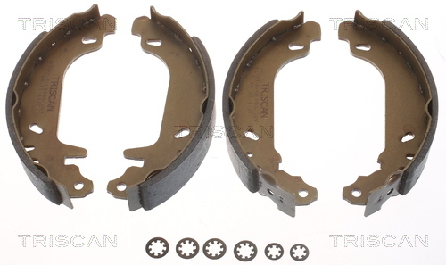 TRISCAN Bremsbackensatz