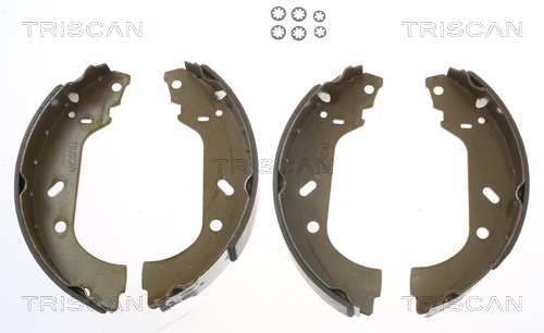 TRISCAN Bremsbackensatz
