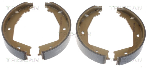 TRISCAN Bremsbackensatz, Feststellbremse