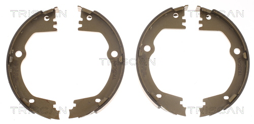 TRISCAN Bremsbackensatz, Feststellbremse