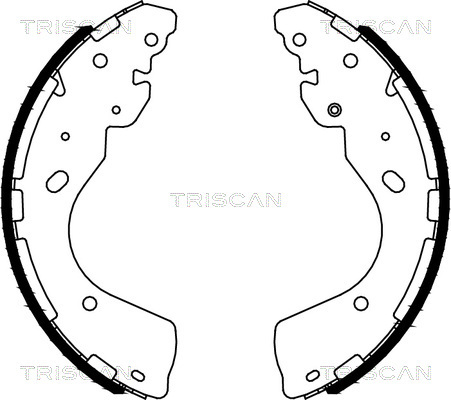 TRISCAN Bremsbackensatz