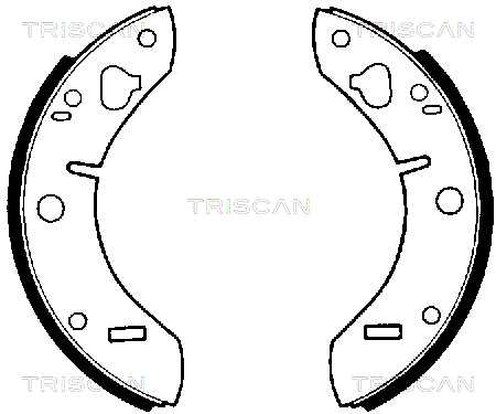 TRISCAN Bremsbackensatz