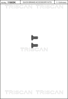 TRISCAN Schraubensatz, Bremsscheibe