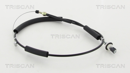 TRISCAN Gaszug