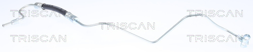 TRISCAN Bremsschlauch