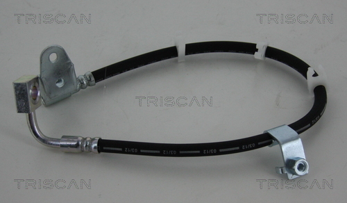 TRISCAN Bremsschlauch