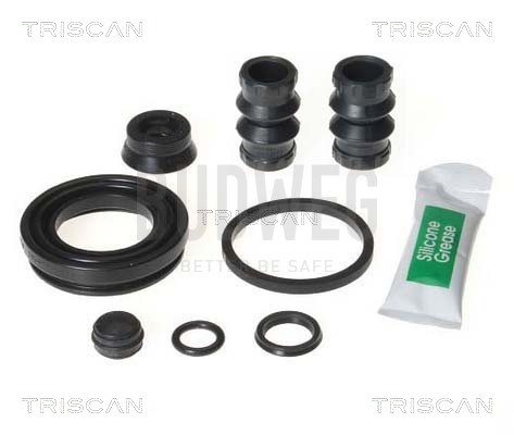 TRISCAN Reparatursatz, Bremssattel