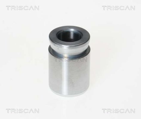 TRISCAN Kolben, Bremssattel
