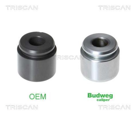 TRISCAN Kolben, Bremssattel
