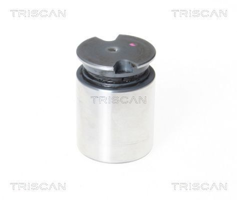 TRISCAN Kolben, Bremssattel