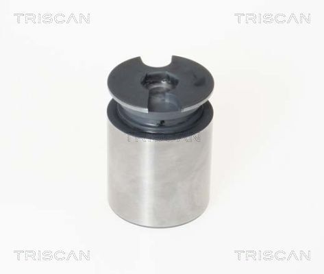 TRISCAN Kolben, Bremssattel
