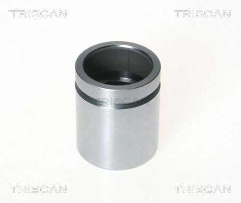 TRISCAN Kolben, Bremssattel