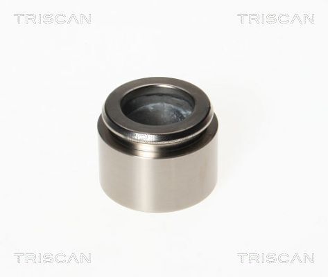 TRISCAN Kolben, Bremssattel