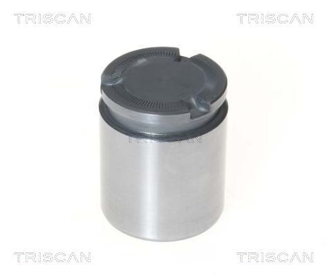 TRISCAN Kolben, Bremssattel
