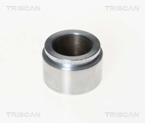TRISCAN Kolben, Bremssattel