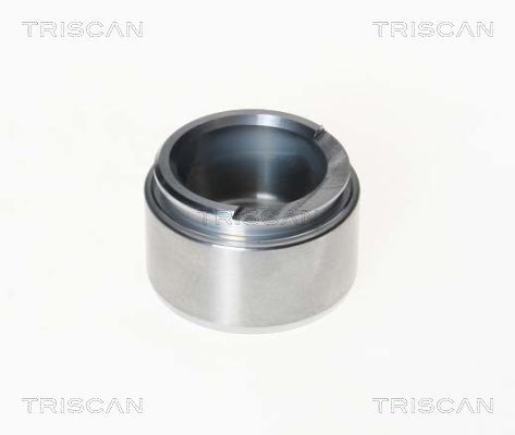 TRISCAN Kolben, Bremssattel