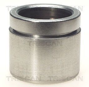 TRISCAN Kolben, Bremssattel