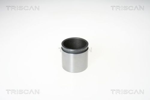 TRISCAN Kolben, Bremssattel
