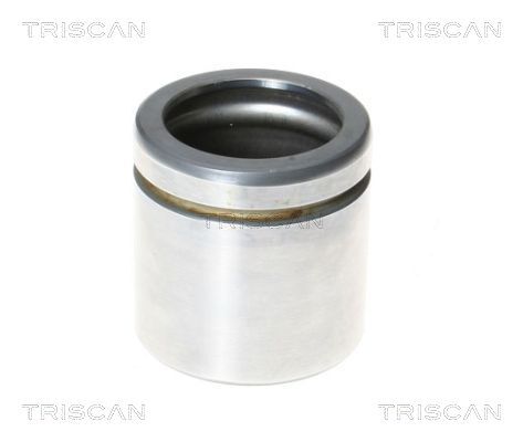 TRISCAN Kolben, Bremssattel