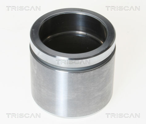 TRISCAN Kolben, Bremssattel