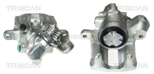 TRISCAN Bremssattel