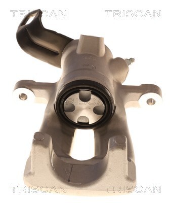 TRISCAN Bremssattel
