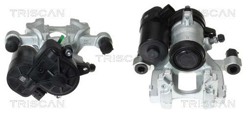 TRISCAN Bremssattel