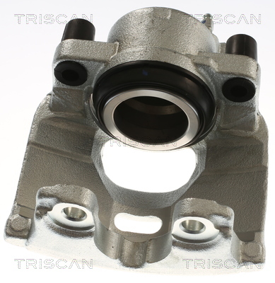 TRISCAN Bremssattel