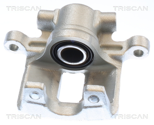 TRISCAN Bremssattel