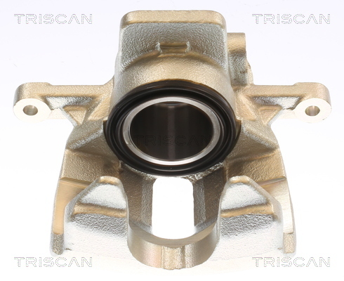 TRISCAN Bremssattel