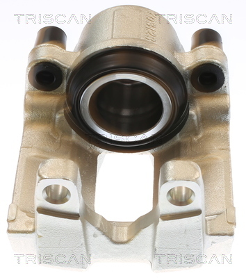 TRISCAN Bremssattel