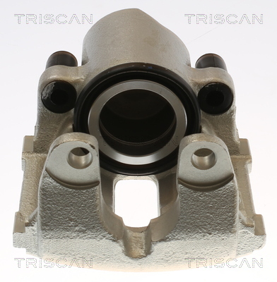 TRISCAN Bremssattel