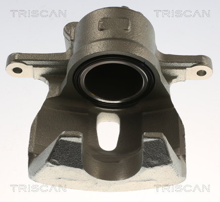 TRISCAN Bremssattel