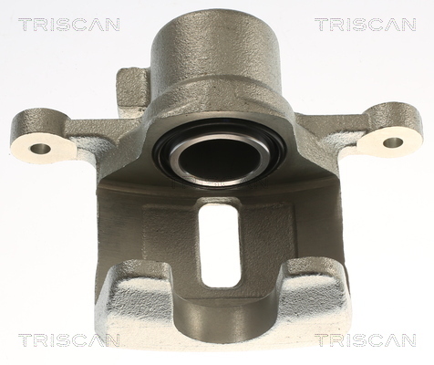 TRISCAN Bremssattel