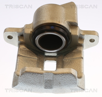 TRISCAN Bremssattel