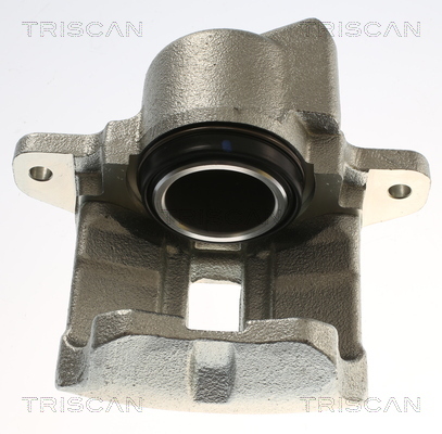 TRISCAN Bremssattel