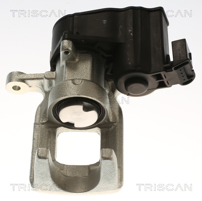 TRISCAN Bremssattel
